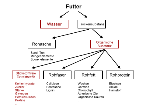 Weender Analyse