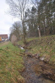 Uferstandort an einem Bach