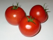 Tomaten Früchte