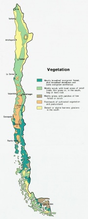 Vegetationskarte