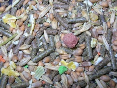 Menue Mix Meerschweinchenfutter