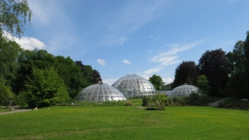 Gewächshäuser im botanischen Garten Zürich.