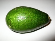 Avocado Frucht